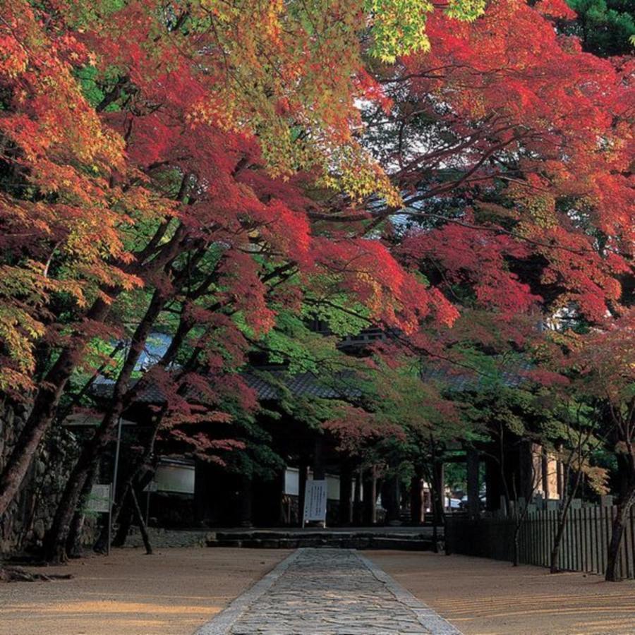 Kyukamura Ohmi-Hachiman Omihachiman Bagian luar foto